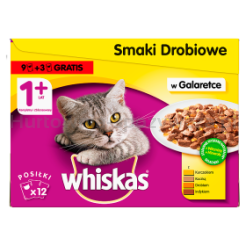 Zwierzęta