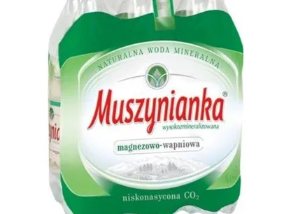 Niegazowana