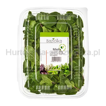 Baziółka Mięta Cięta Hiszpania 100G 