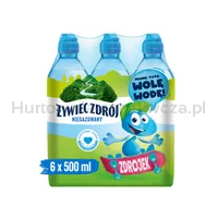 Woda Żywiec Zdrój Woda Niegazowana 500 Ml Sport Korek