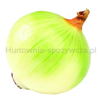 Cebula Bez Łuski Polska kg