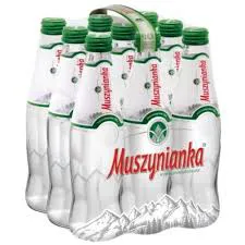 Muszynianka Woda Niskonasycona Co2 0,3L