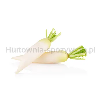 Rzodkiew Biała Włochy 10Kg
