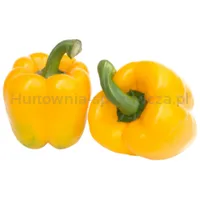Papryka Żółta (Kg)