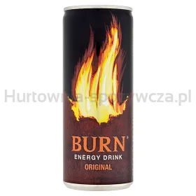 Burn Original 250 ml SK