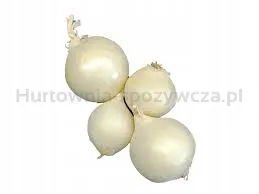 Cebula Biała Hiszpania 1kg