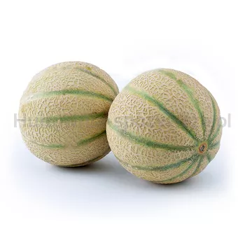 Melon Cantaloupe Włochy 1SZT