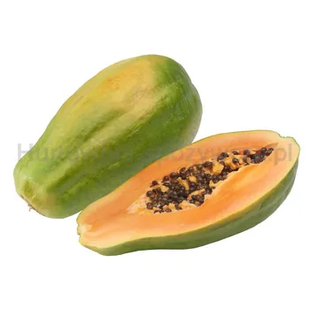 Papaja Formosa Rte Brazylia (Szt)