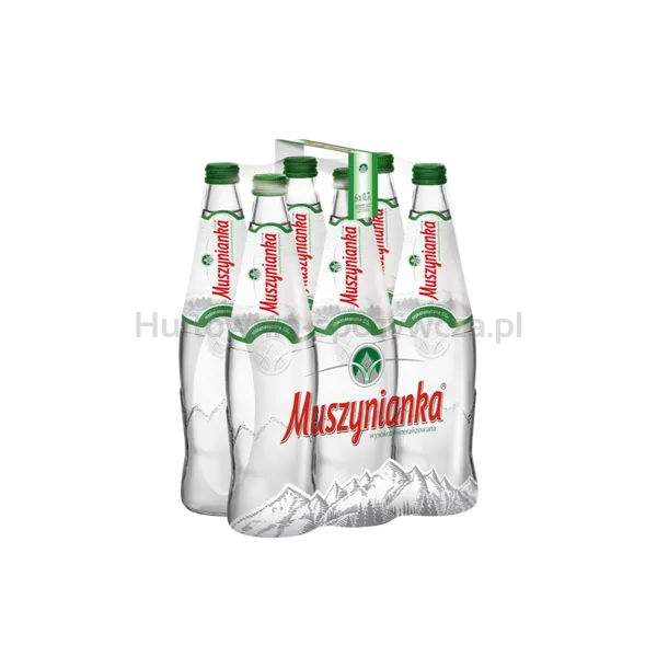 Muszynianka Woda Wysokozmineralizowana Niskonasycona Co2 0,7L