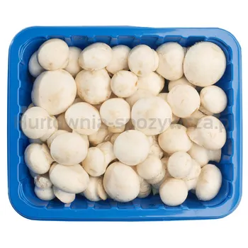 Pieczarka Mini Polska 250G