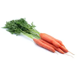 Marchew Wczesna Nać Włochy (Szt)