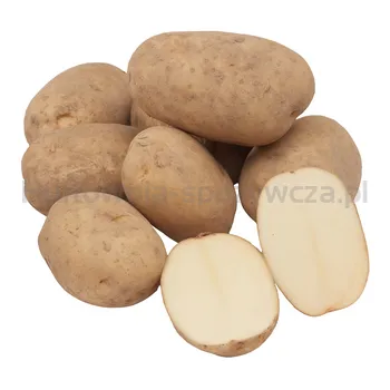 Ziemniak Jadalny Biały Irga Polska 5Kg