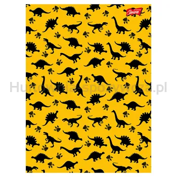 UNIPAP Zeszyt laminowany 16 kartek linia dwukolorowa mix chłopięcy