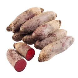 Burak Podłużny Polska 10Kg