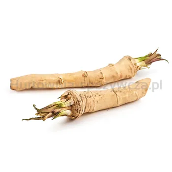 Chrzan Węgry 5Kg