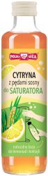 Syrop cytryna z pędami sosny 250 ml