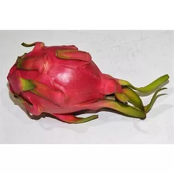 Pitahaya Czerwona 1SZT