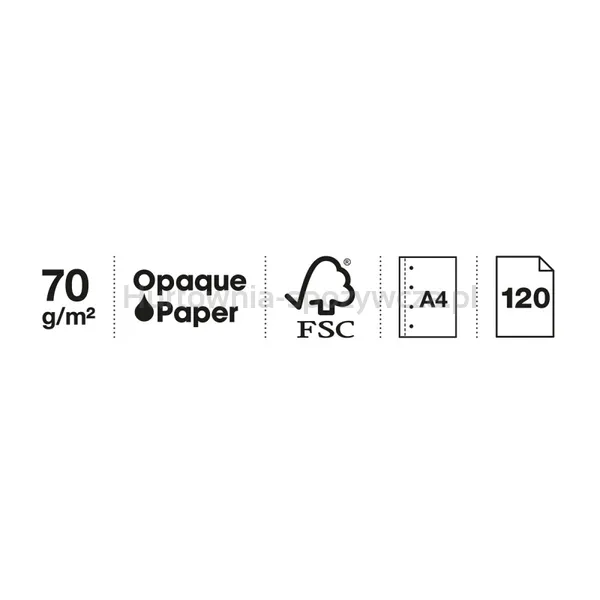 Kołozeszyt MIQUELRIUS NB-4, A4, w kratkę, 120 kart., 70g, green garden