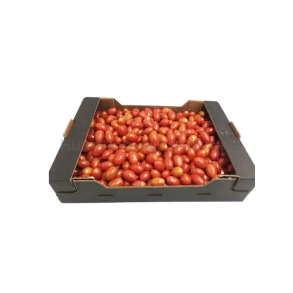 Pomidor Daktylowy Czerwony Klasa I Maroko 3Kg