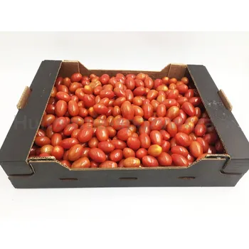 Pomidor Daktylowy Czerwony Klasa I Maroko 3Kg