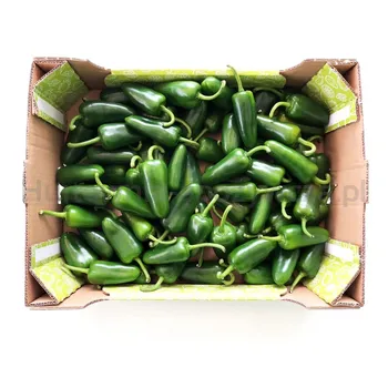 Papryka Ostra Jalapeno Holandia kg