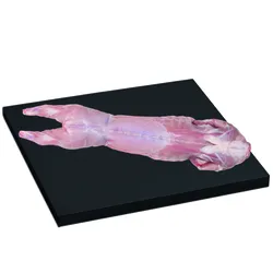 Królik Z Podrobami, Mięsne Specjały Worek Map Około 1,6 Kg