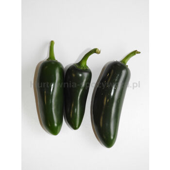 Papryka Ostra Jalapeno Holandia 80G