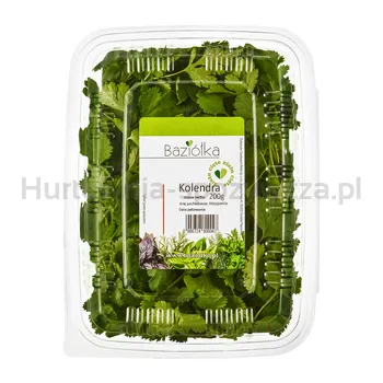 Baziółka Kolendra Cięta Hiszpania 200G