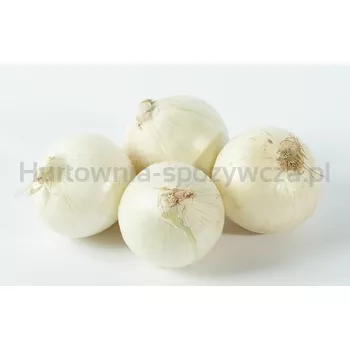 Cebula Czosnkowa 10KG