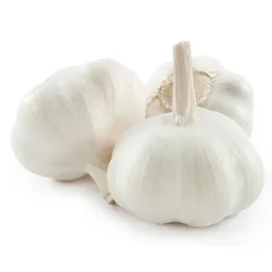 Czosnek Hiszpania 0,5Kg