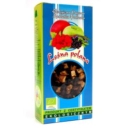 Dary Natury Herbatka Leśna Polana Bio 100 G 