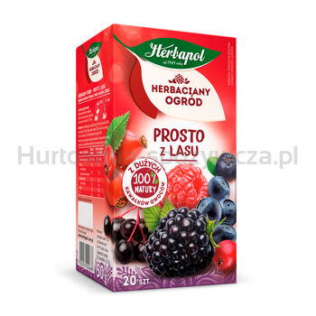 Herbapol Herbaciany Ogród Herbatka Owocowa Prosto Z Lasu 20 Torebek/50G x 10 sztuk - 2