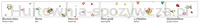 Folia prezentowa FOLIA PAPER, 70x250cm, w rolce, transparentne wzory - 3