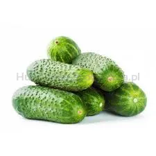 Ogórek Gruntowy kg