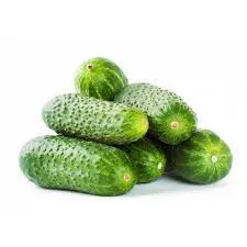 Ogórek Gruntowy (Kg)