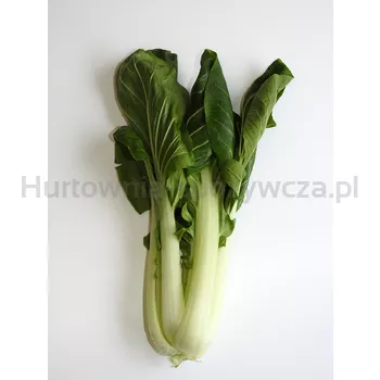 Kapusta PAK CHOI 1SZT
