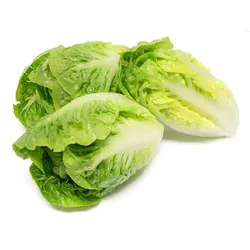 Sałata Little Gem Klasa I Hiszpania 2Szt