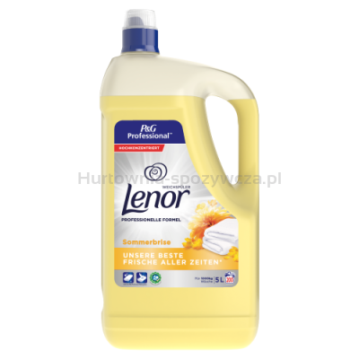 Lenor Płyn Do Płukania Tkanin Professional Summer Breeze 5L