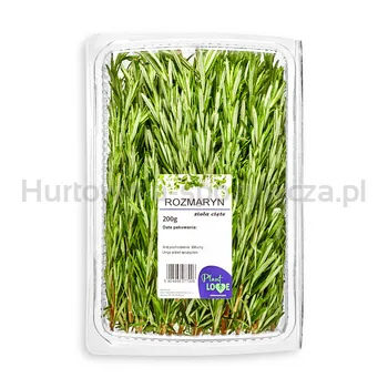 Rozmaryn Cięty 200G Plant Love