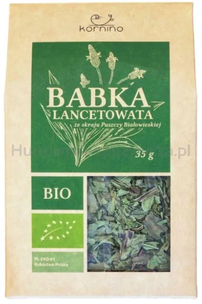 Babka lancetowata BIO 35 g