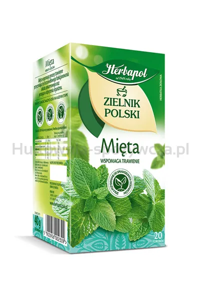 Herbata HERBAPOL Zielnik Polski, 20 torebek, mięta(Produkt dostępny w ciągu 48 h)