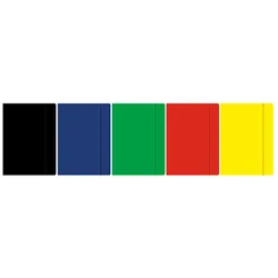 Rexus Teczka z gumką A4 kolor mix 10 szt Beniamin