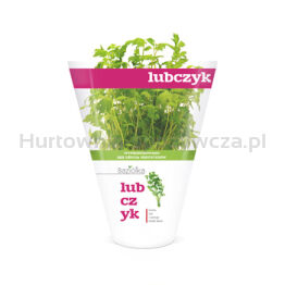 Baziółka Lubczyk Doniczka (Szt)