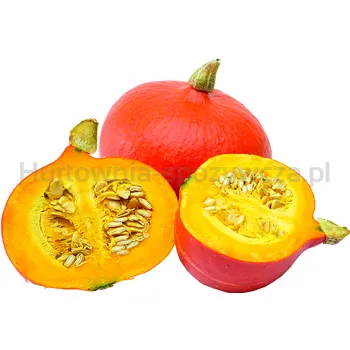 Dynia Hokkaido Holandia Luz