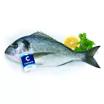 DORADA PATROSZONA 330-500G