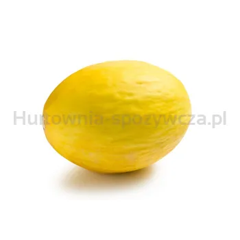 Melon Żółty Brazylia szt.