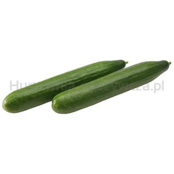Ogórek Długi Grecja 4,5Kg