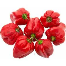 Papryka Ostra Habanero Czerwona Hol 75G