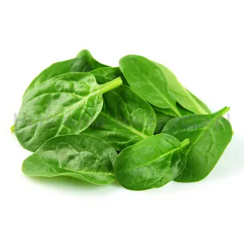 Bio Szpinak Baby Włochy 100G