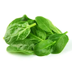 Bio Szpinak Baby Włochy 100G